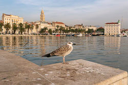 Croatia - Dalmatia 2018