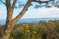 Ireland Ireland