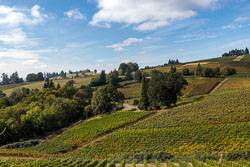 Pacific Northwest Wine tour Pacific Northwest Wine tour
