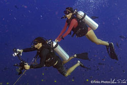 Papua New Guinea III - Fathers Reefs Papua New Guinea III - Fathers Reefs